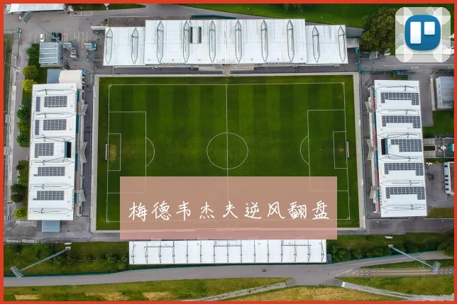 梅德韦杰夫逆风翻盘