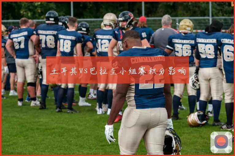 土耳其vs巴拉圭小组赛积分影响