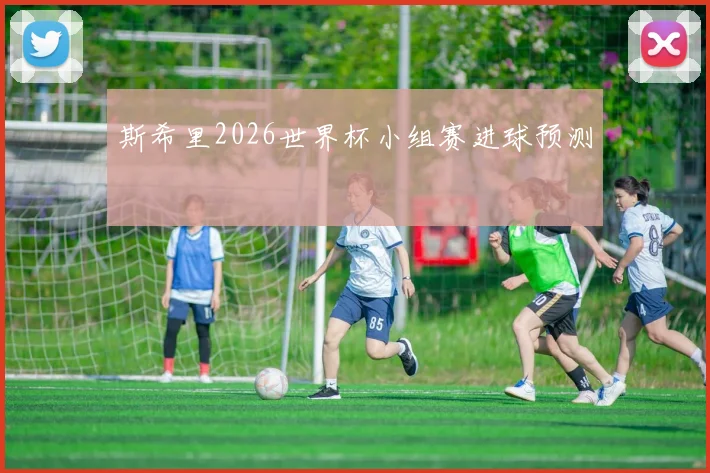 斯希里2026世界杯小组赛进球预测