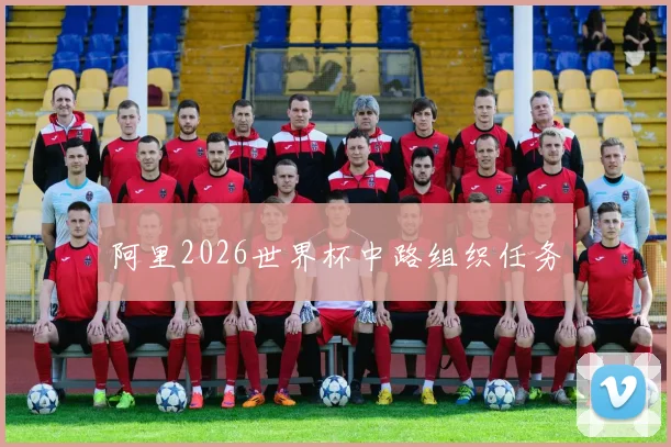 阿里2026世界杯中路组织任务