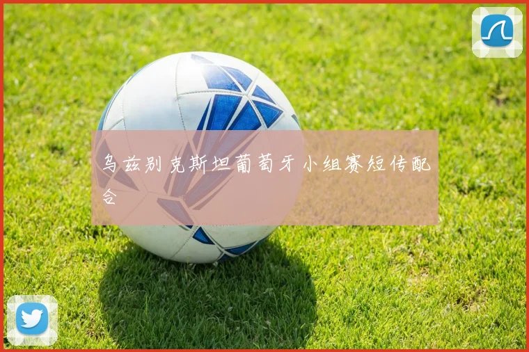乌兹别克斯坦葡萄牙小组赛短传配合