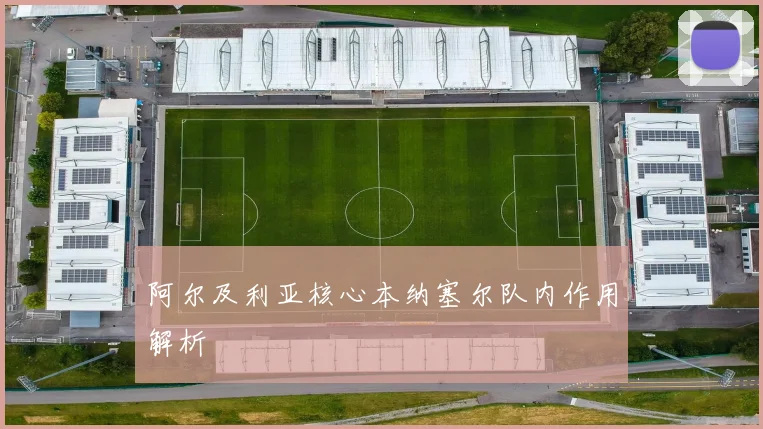 阿尔及利亚核心本纳塞尔队内作用解析