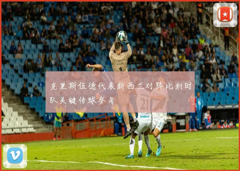 克里斯伍德代表新西兰对阵比利时队关键传球参考
