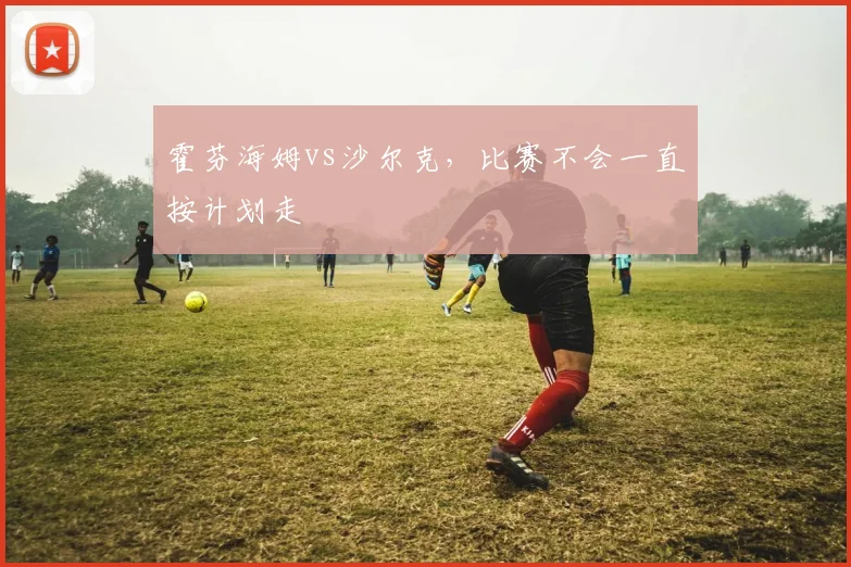 霍芬海姆vs沙尔克,比赛不会一直按计划走