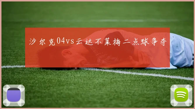 沙尔克04vs云达不莱梅二点球争夺