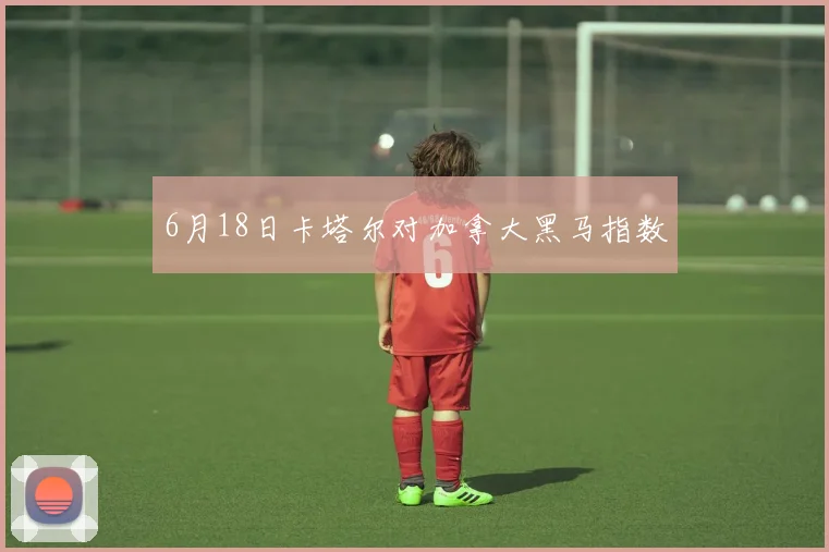6月18日卡塔尔对加拿大黑马指数
